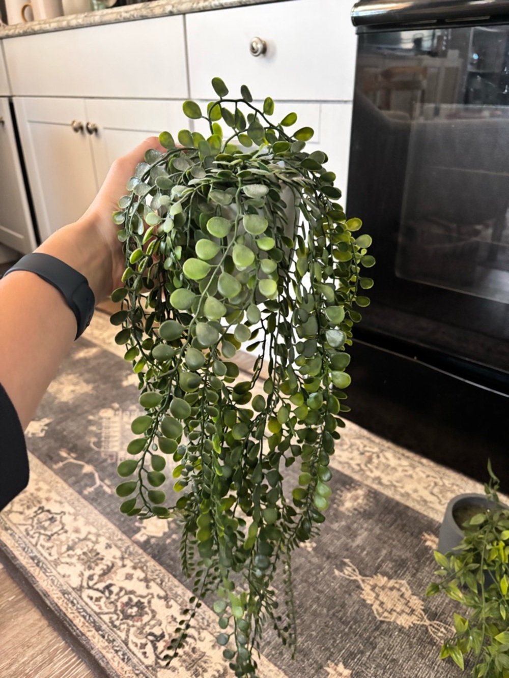 Artificial Vine Hanging Greenery | Set of 3 | Faux Vine Plant - Picture 4 of 6